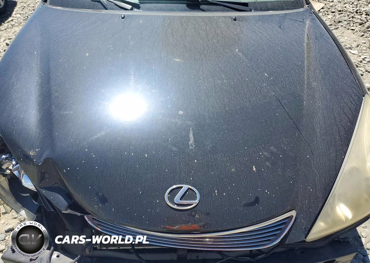 2006 Lexus Es 330 VIN:JTHBA30G465171025 - 11