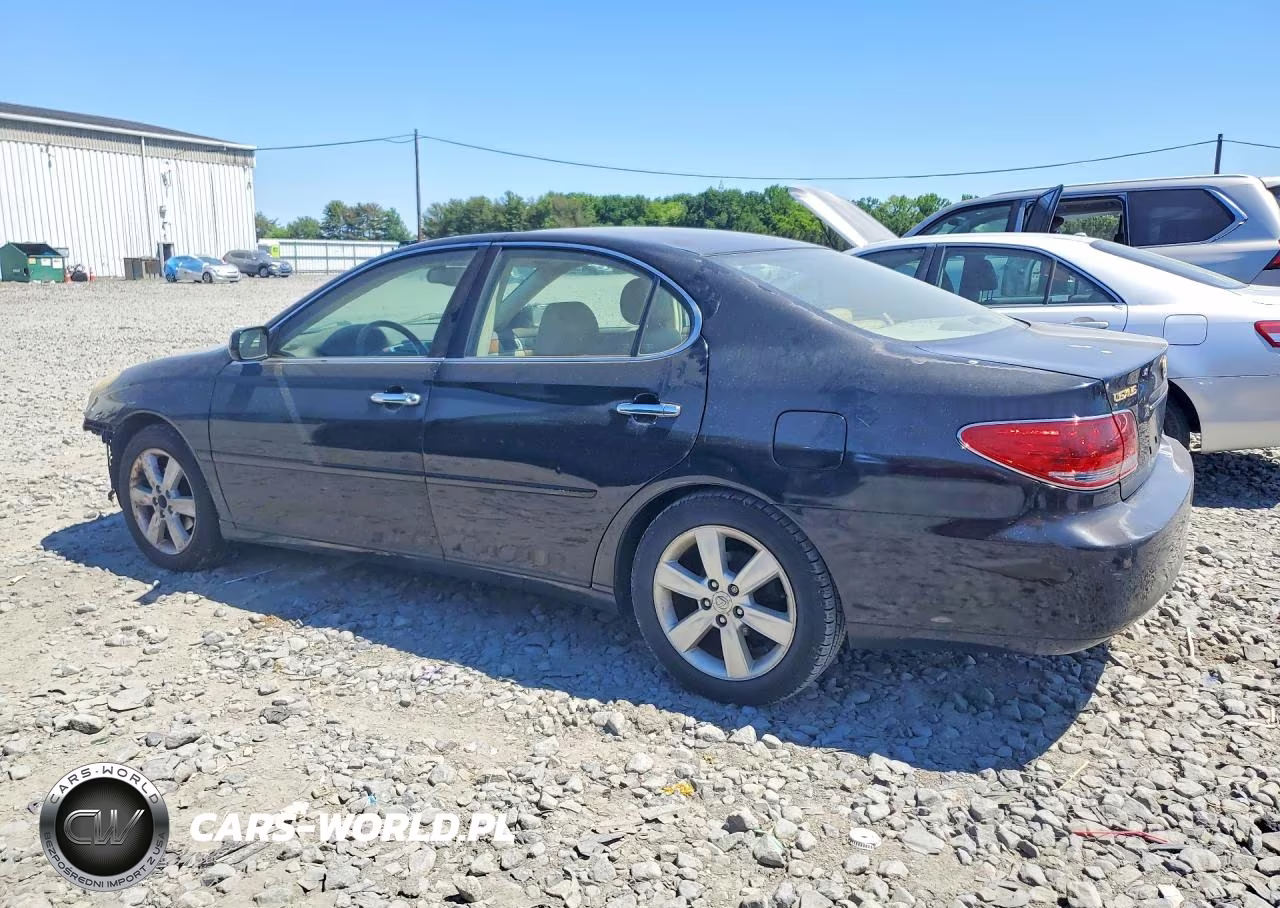 2006 Lexus Es 330 VIN:JTHBA30G465171025 - 2