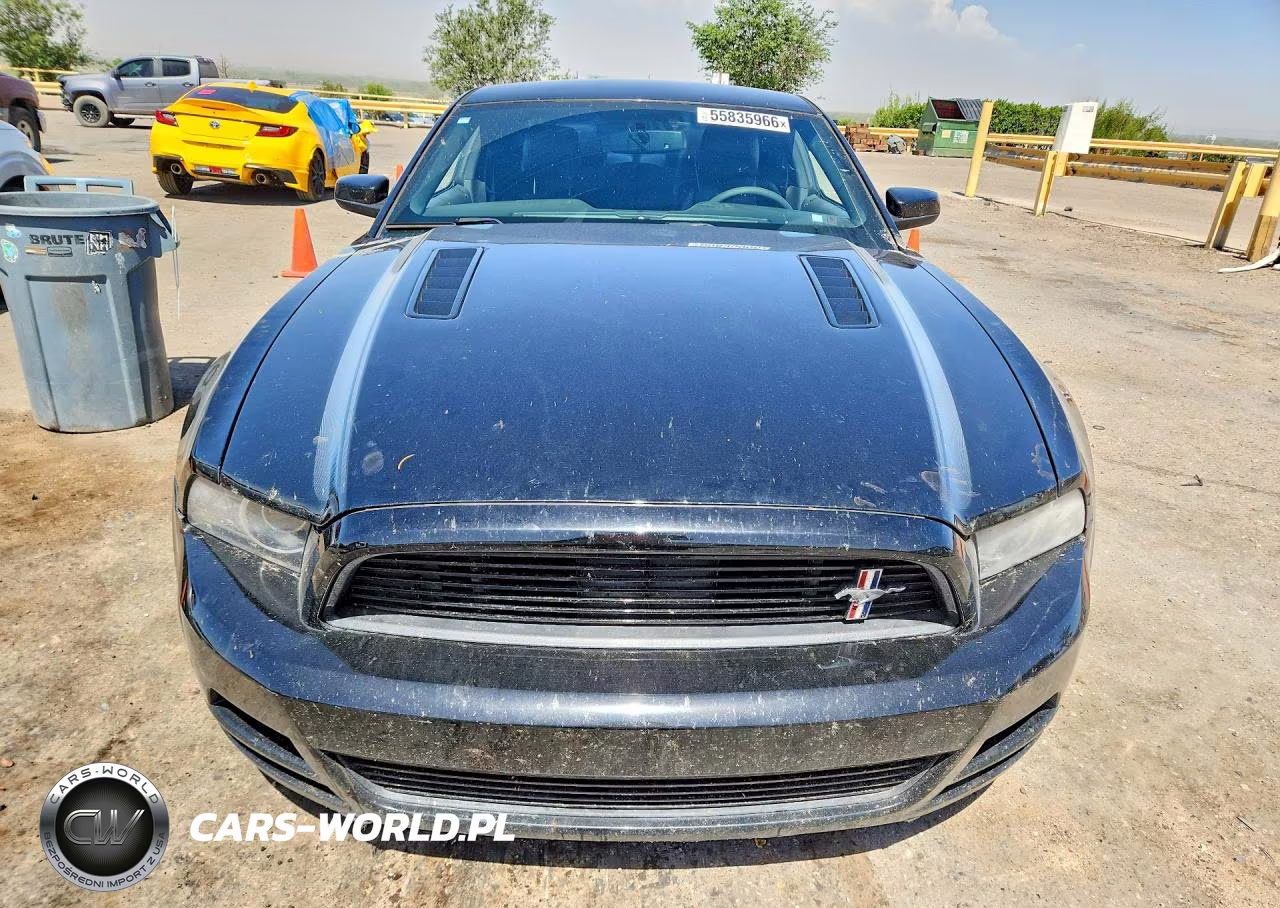 2014 Ford Mustang Gt VIN:1ZVBP8CF4E5221952 - 5