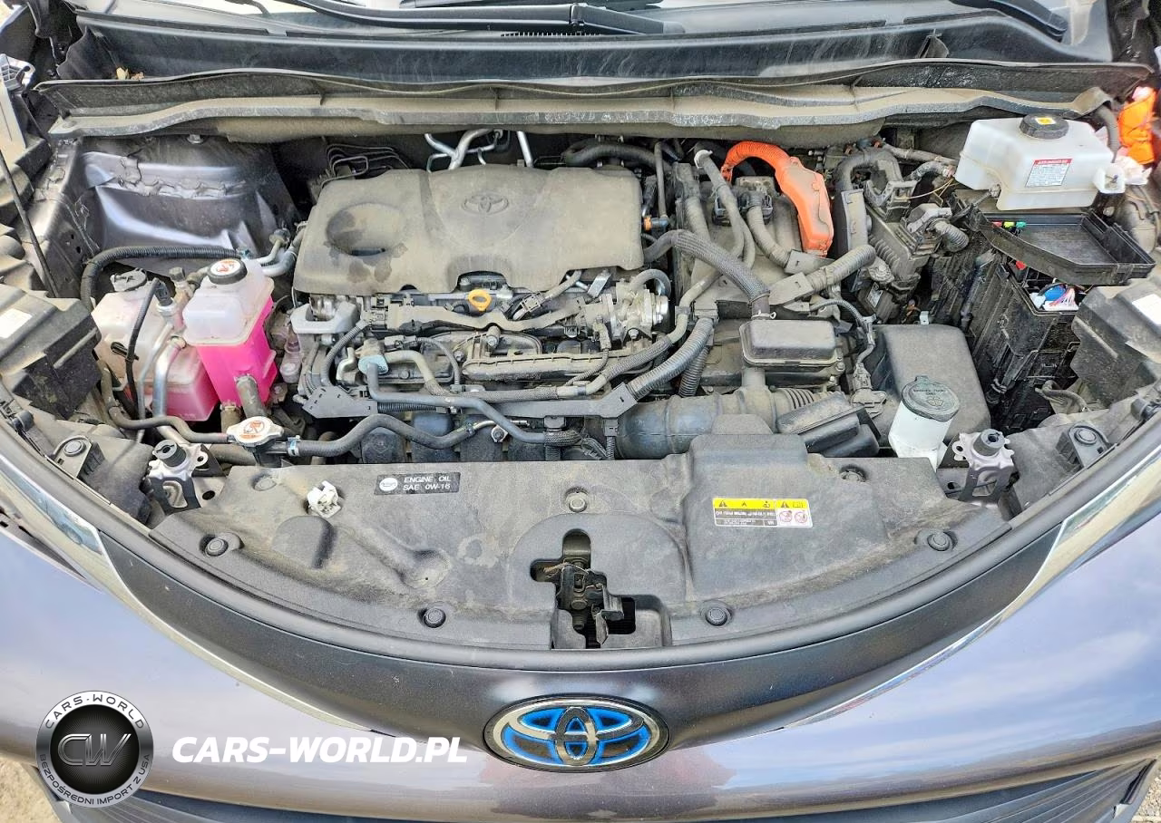 2023 Toyota Sienna Xle VIN:5TDYSKFC0PS075752 - 12