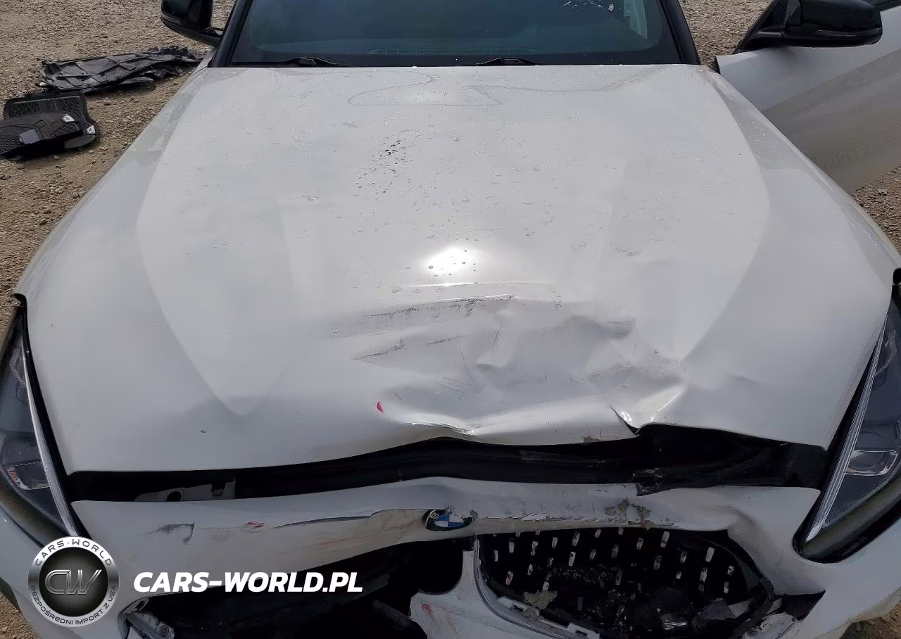 2021 BMW Z4 M40I VIN:WBAHF9C08MWX37304 - 11