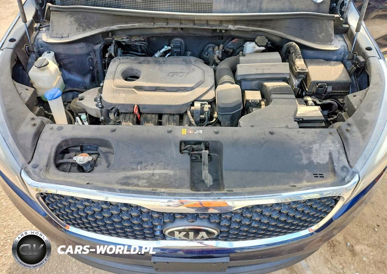 2016 Kia Sorento Lx VIN:5XYPG4A38GG169388 - 12