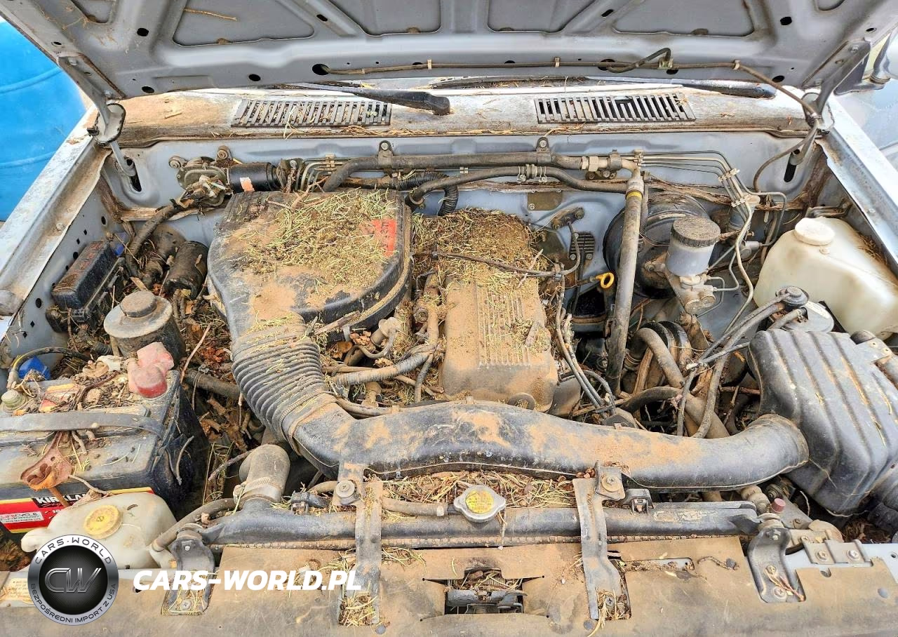 1991 Nissan Truck King Cab VIN:1N6SD16S0MC406194 - 11