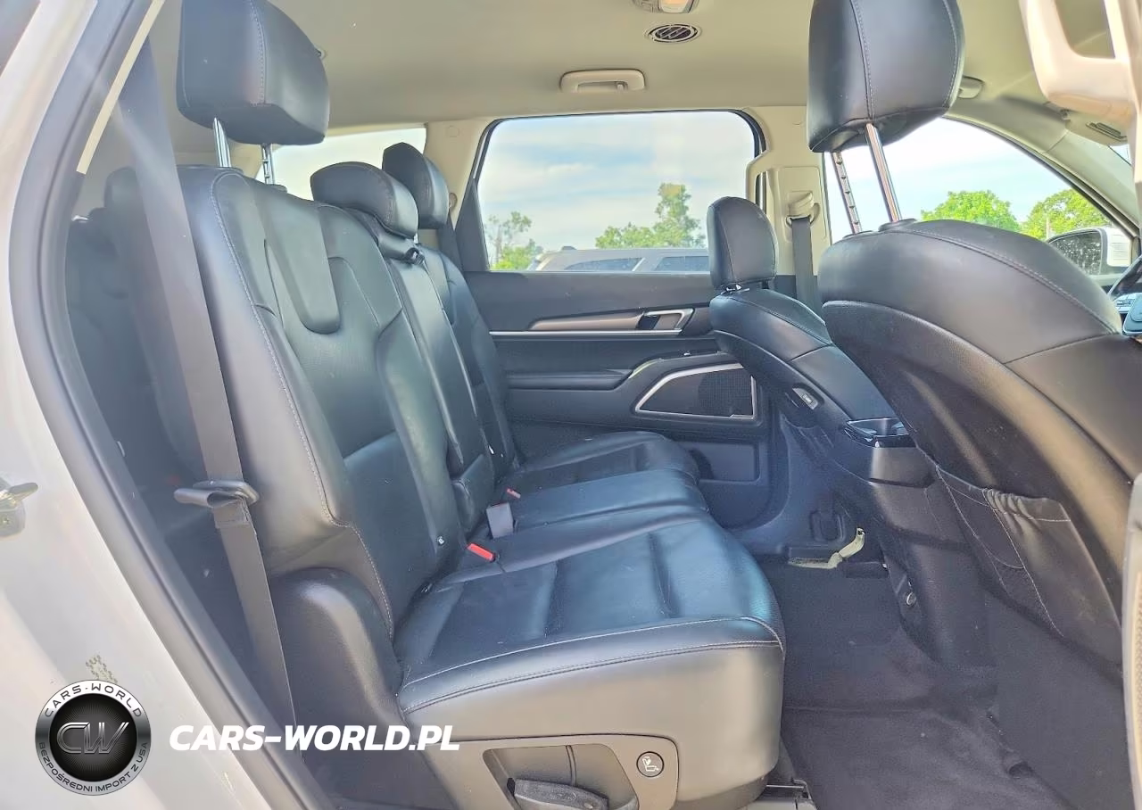 2021 Kia Telluride Lx VIN:5XYP24HC2MG149721 - 11