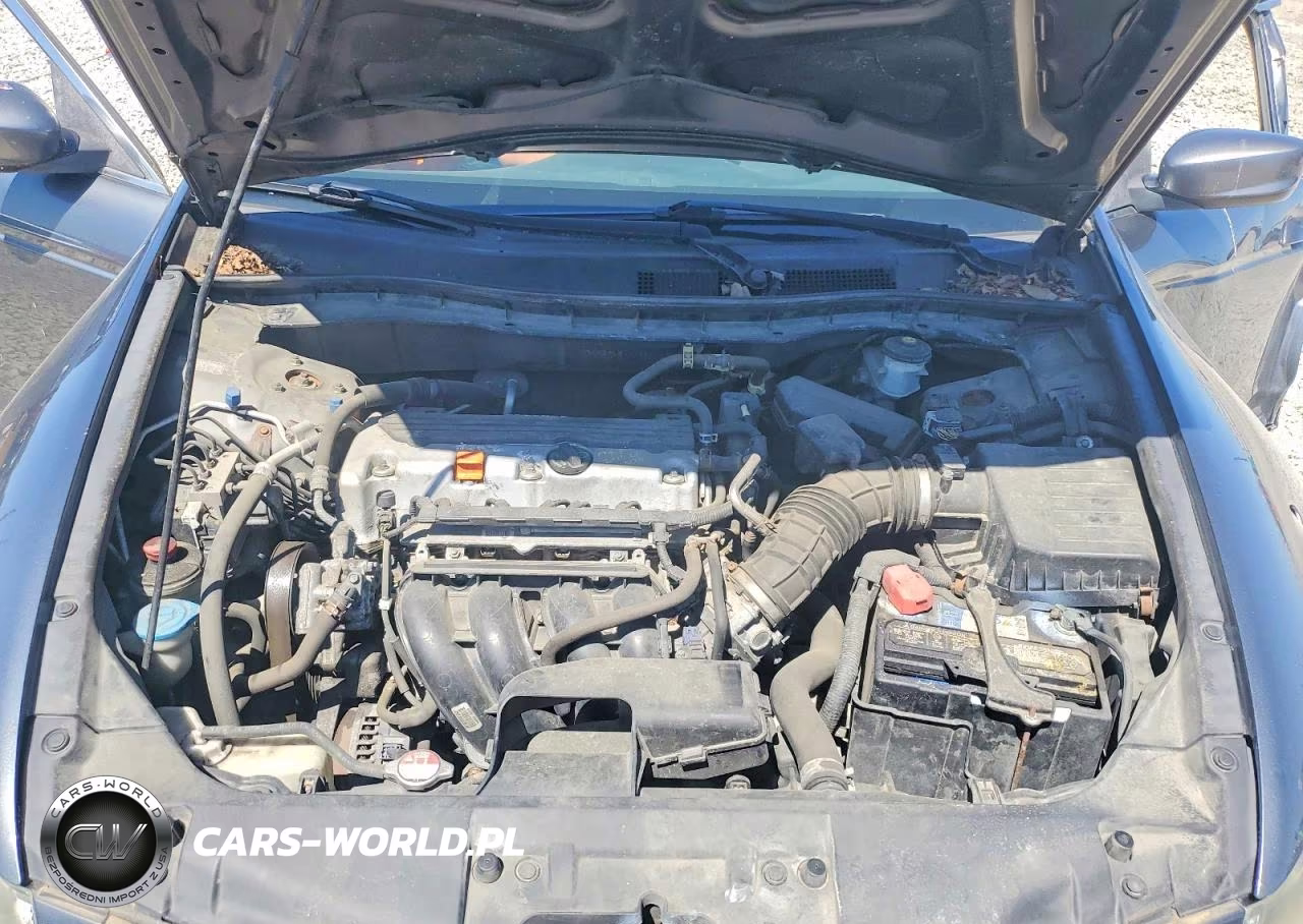 2010 Honda Accord Lxp VIN:1HGCP2F45AA124101 - 11