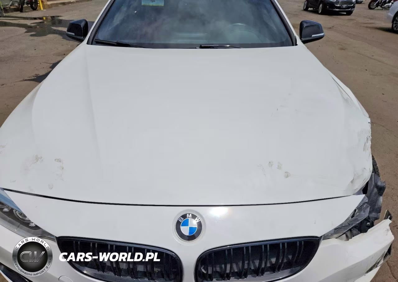 2015 BMW 428 Xi VIN:WBA3N9C50FK246566 - 11