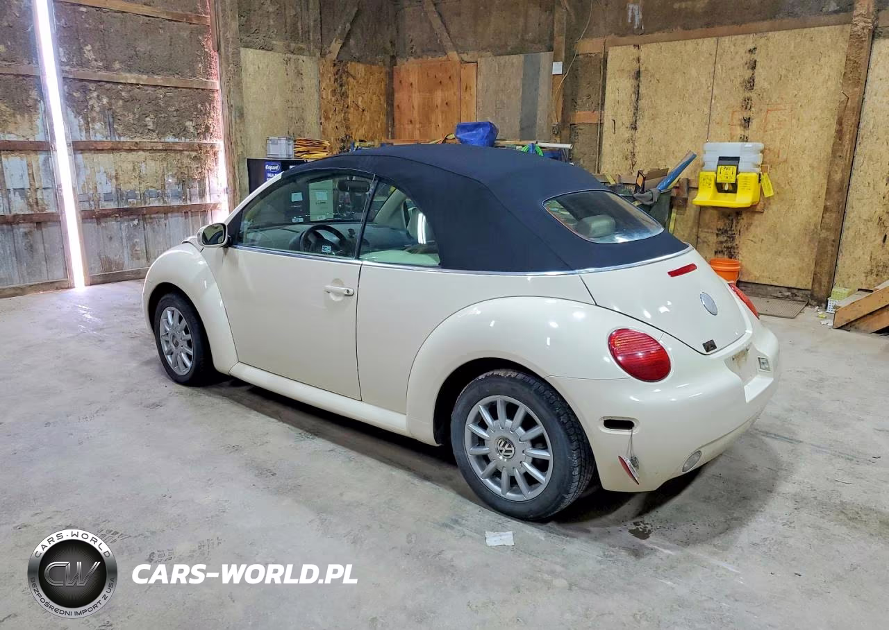 2005 Volkswagen New Beetle Gls VIN:3VWCM31Y25M316878 - 2