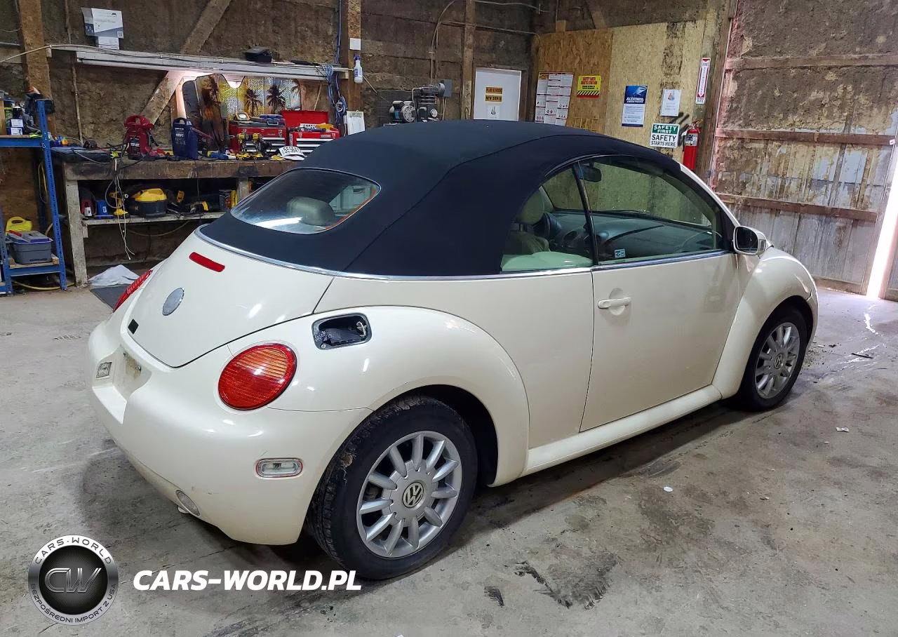 2005 Volkswagen New Beetle Gls VIN:3VWCM31Y25M316878 - 3