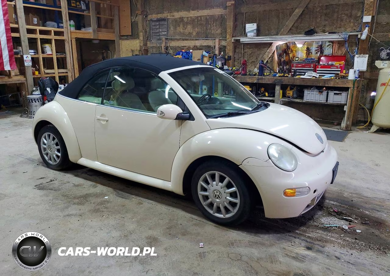2005 Volkswagen New Beetle Gls VIN:3VWCM31Y25M316878 - 4