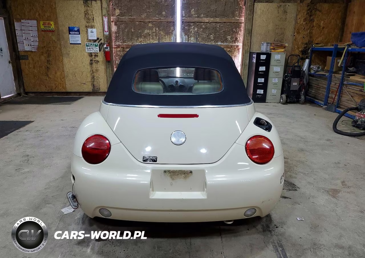 2005 Volkswagen New Beetle Gls VIN:3VWCM31Y25M316878 - 6