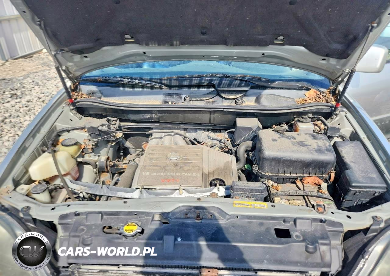 2000 Lexus Rx 300 VIN:JT6HF10U4Y0147287 - 12