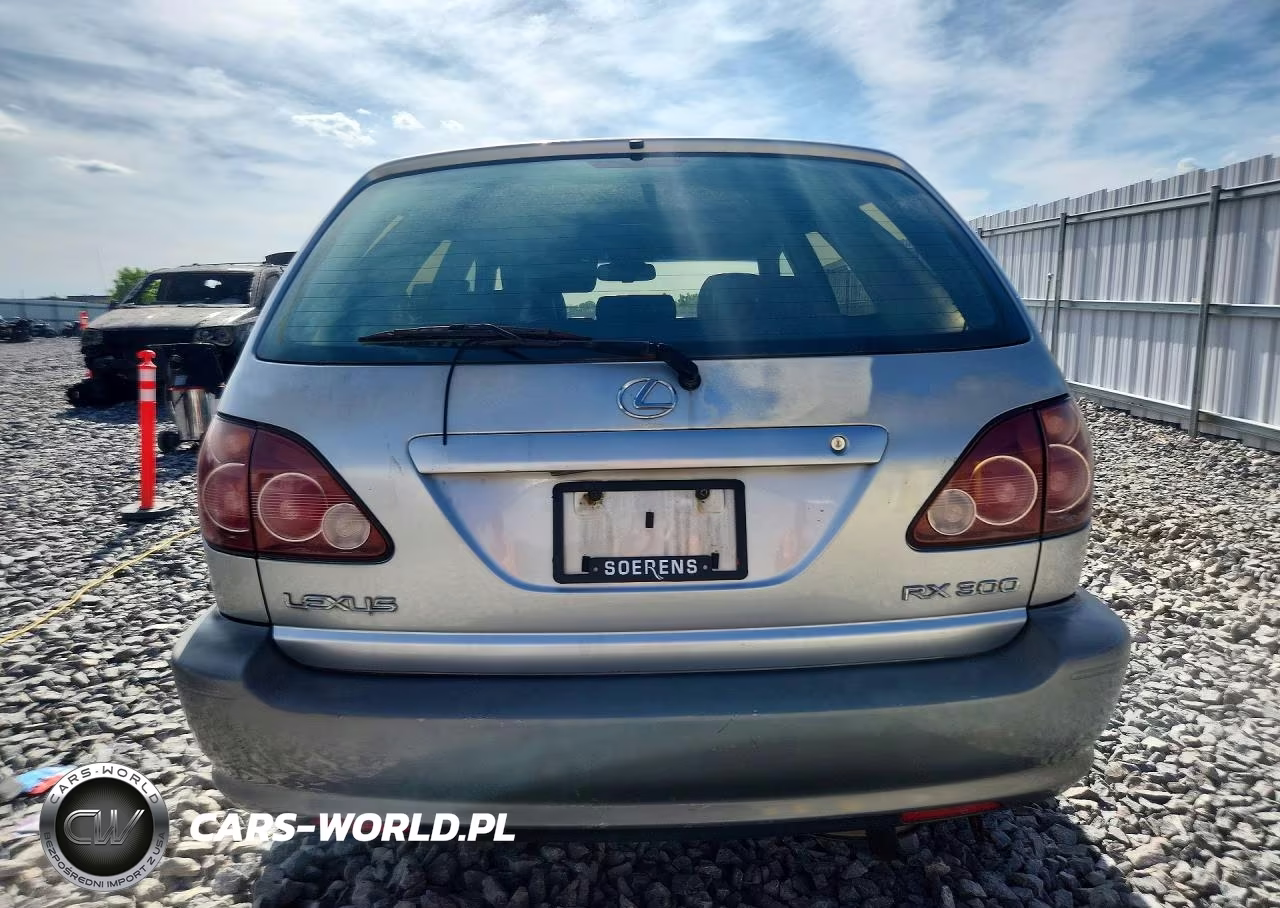 2000 Lexus Rx 300 VIN:JT6HF10U4Y0147287 - 6
