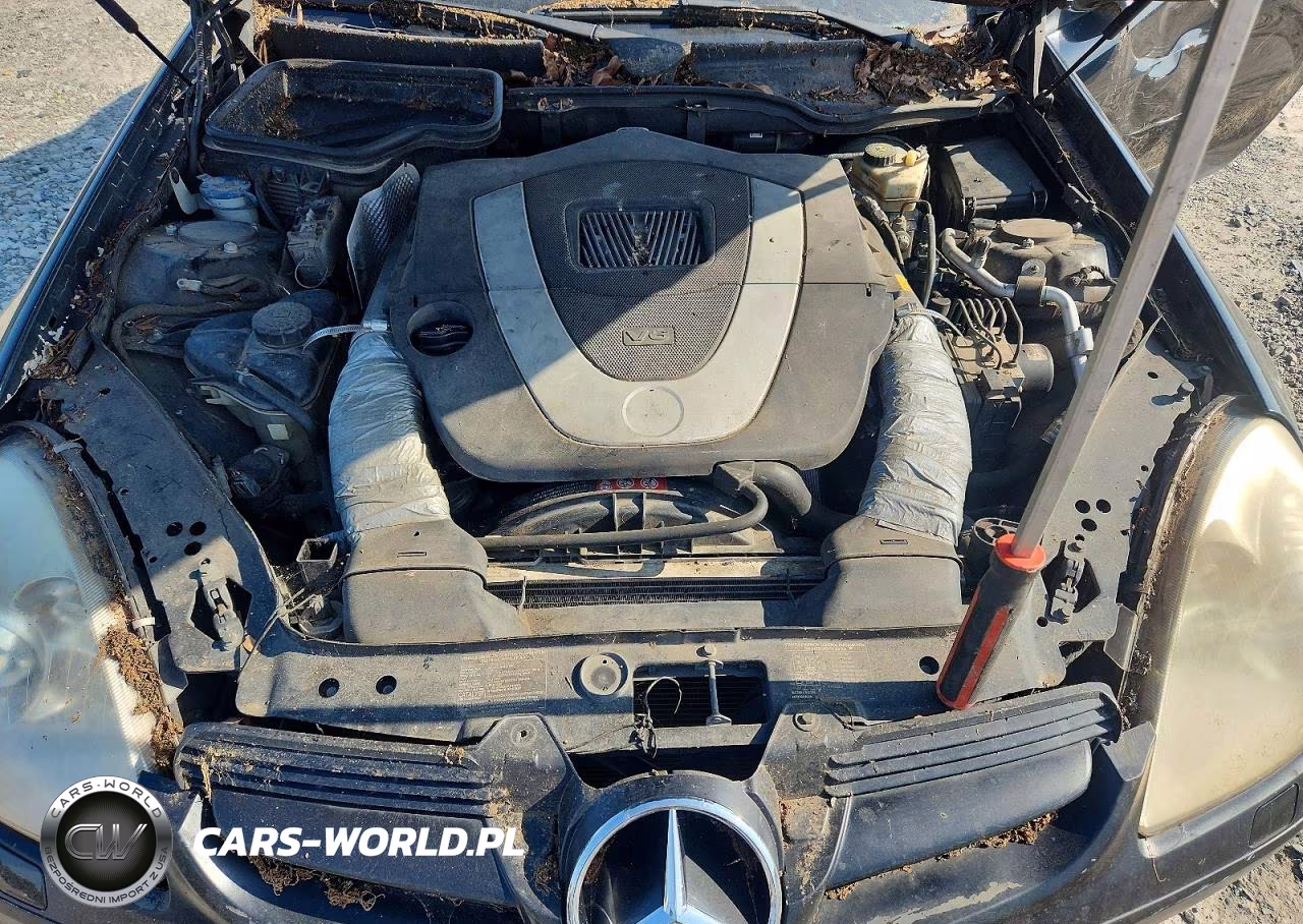 2006 Mercedes-Benz Slk 350 VIN:WDBWK56F36F114026 - 11