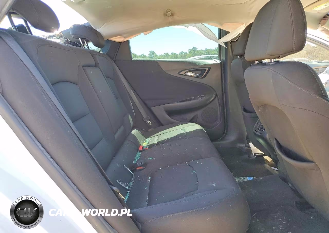 2019 Chevrolet Malibu Lt VIN:1G1ZD5ST6KF134200 - 10