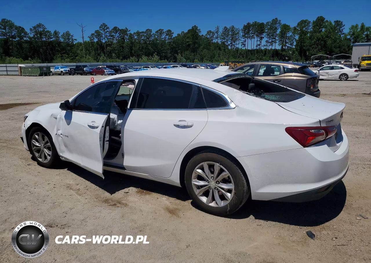 2019 Chevrolet Malibu Lt VIN:1G1ZD5ST6KF134200 - 2