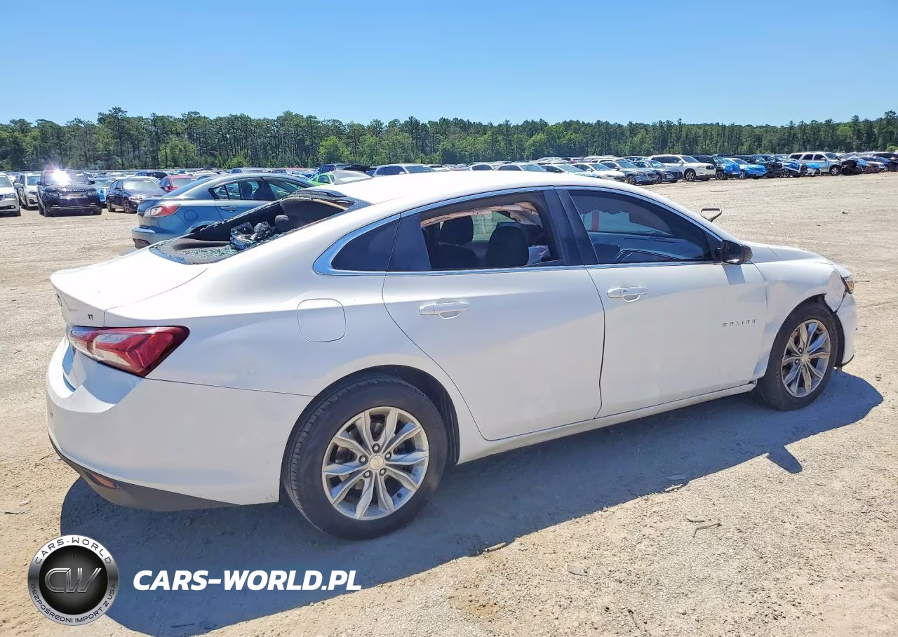 2019 Chevrolet Malibu Lt VIN:1G1ZD5ST6KF134200 - 3