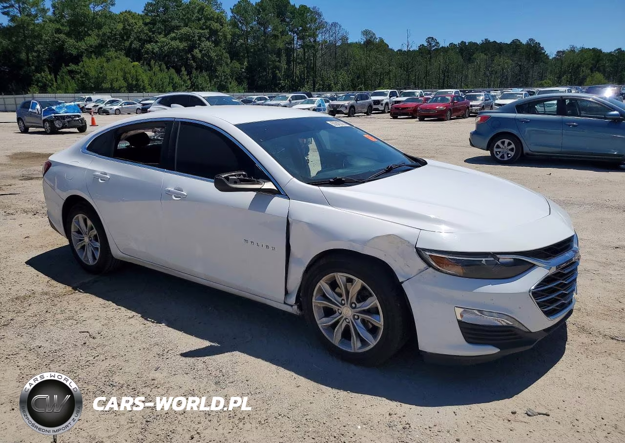 2019 Chevrolet Malibu Lt VIN:1G1ZD5ST6KF134200 - 4