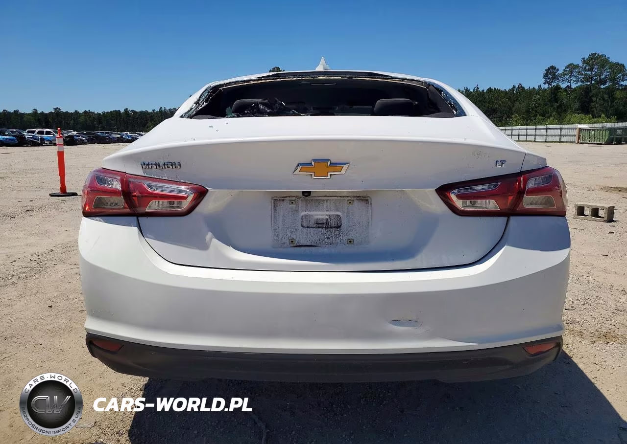 2019 Chevrolet Malibu Lt VIN:1G1ZD5ST6KF134200 - 6