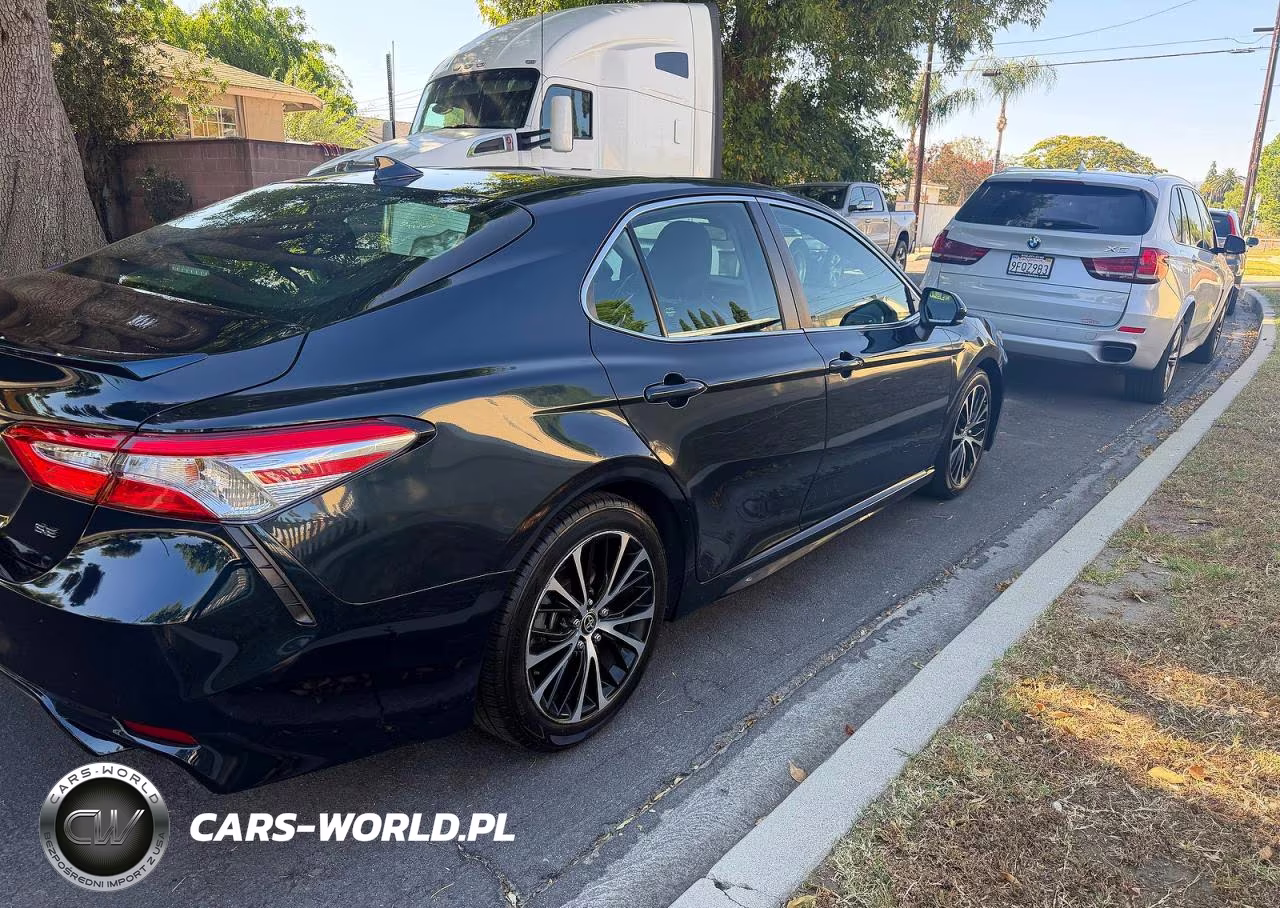 2020 Toyota Camry Se VIN:4T1G31AK3LU016262 - 4