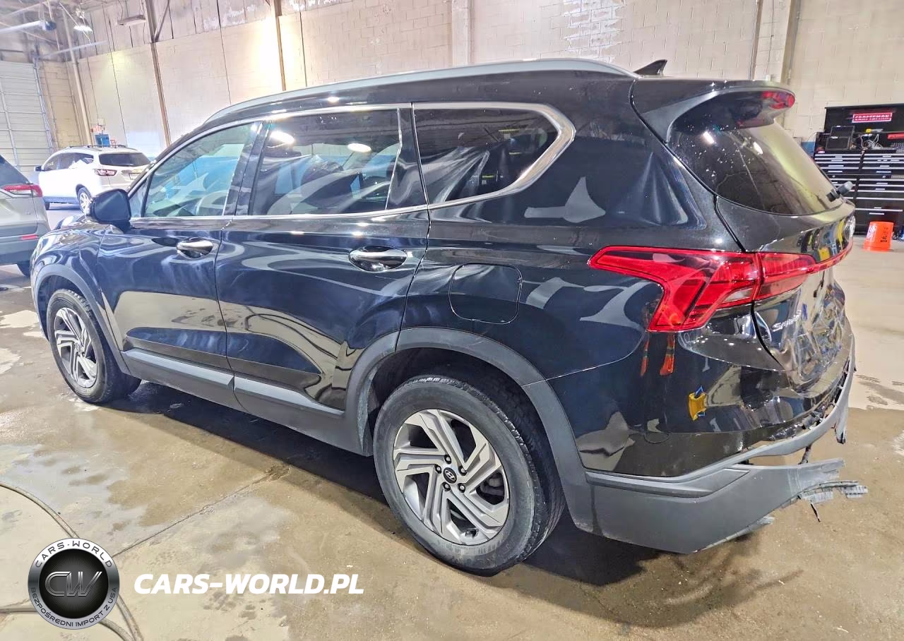 2023 Hyundai Santa Fe Sel VIN:5NMS24AJ6PH539184 - 2