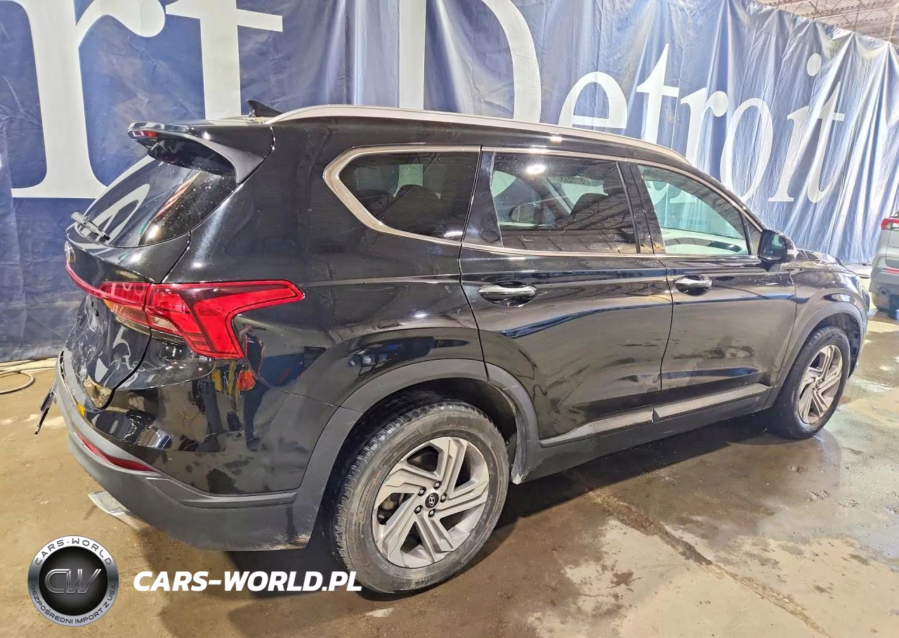 2023 Hyundai Santa Fe Sel VIN:5NMS24AJ6PH539184 - 3