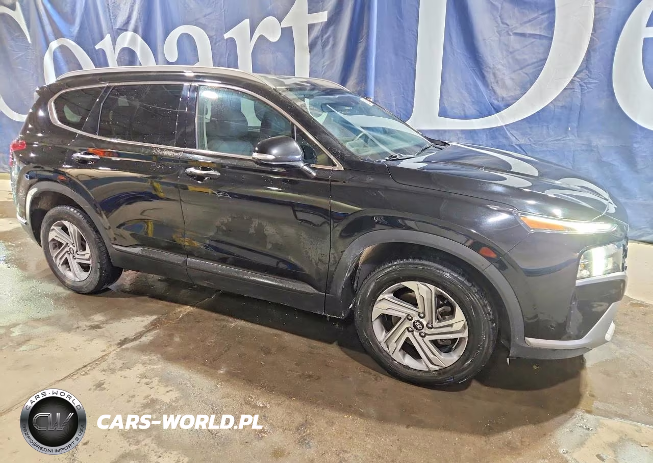 2023 Hyundai Santa Fe Sel VIN:5NMS24AJ6PH539184 - 4