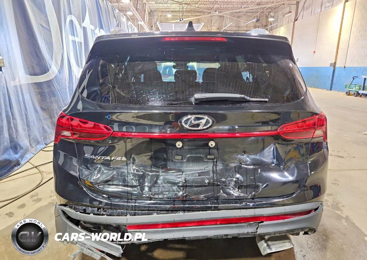 2023 Hyundai Santa Fe Sel VIN:5NMS24AJ6PH539184 - 6