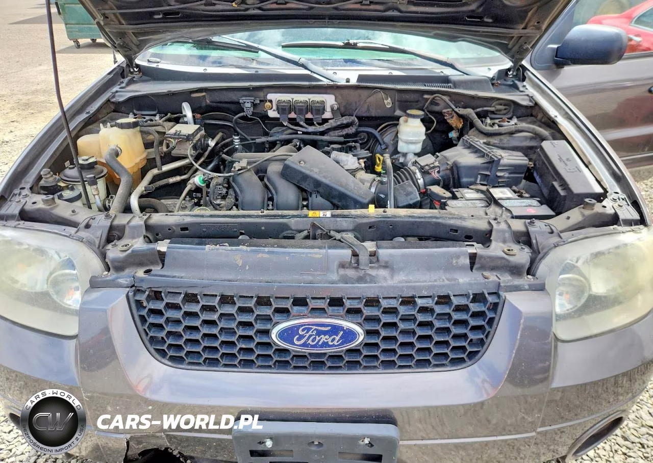 2006 Ford Escape Limited VIN:1FMCU94156KA17927 - 12