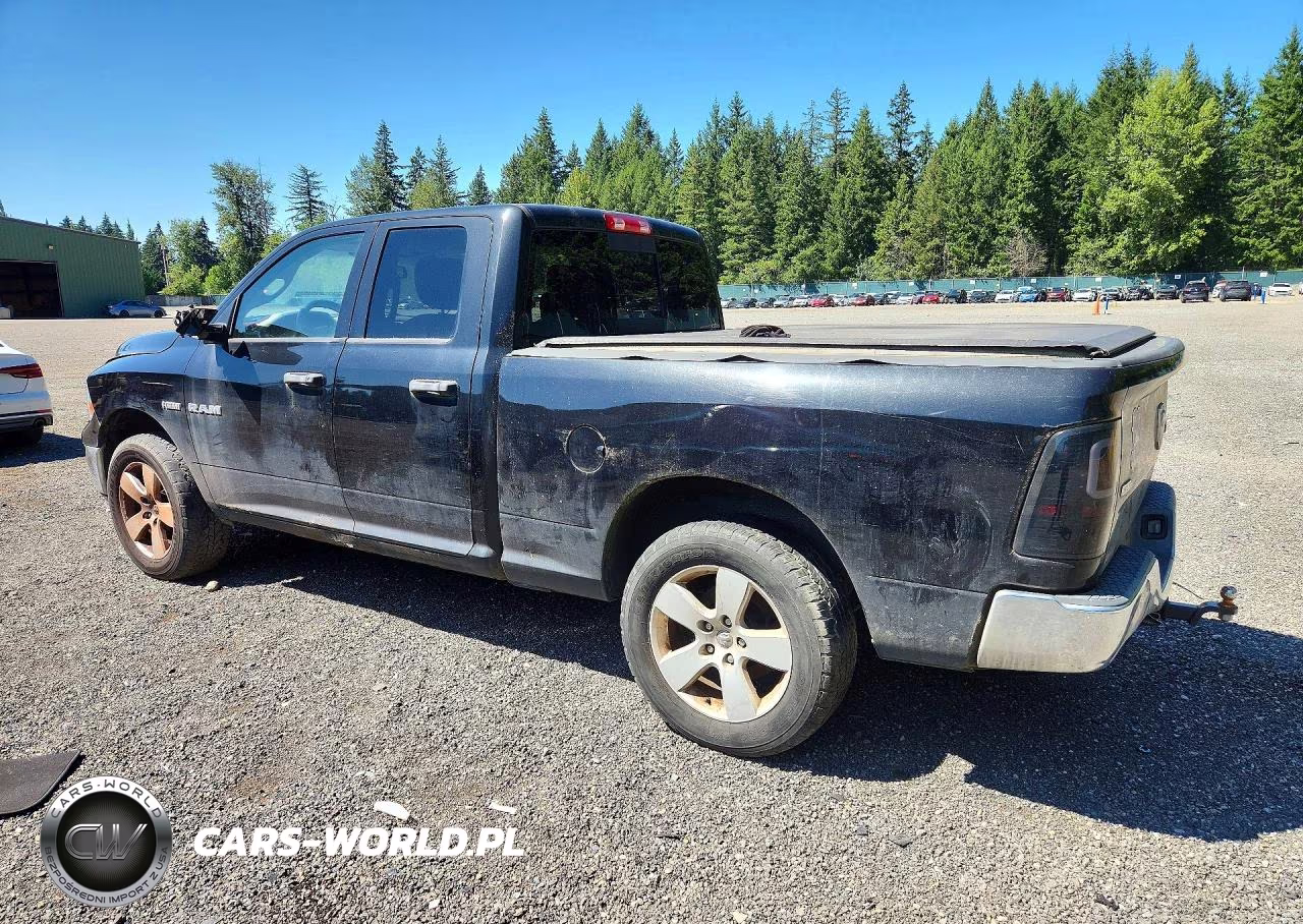 2009 Dodge Ram 1500 VIN:1D3HV18TX9S820345 - 2