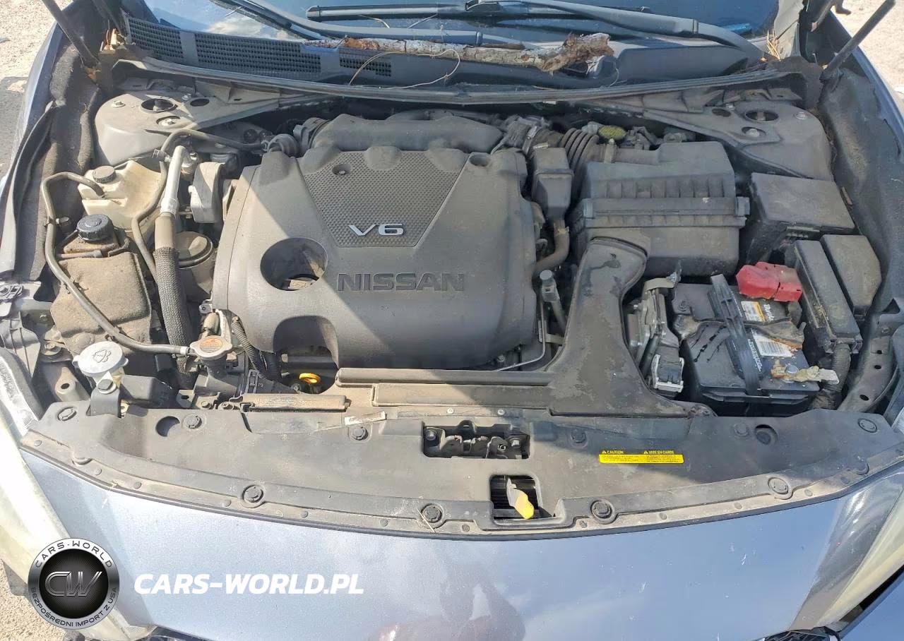 2018 Nissan Maxima Platinum VIN:1N4AA6AP0JC401263 - 11
