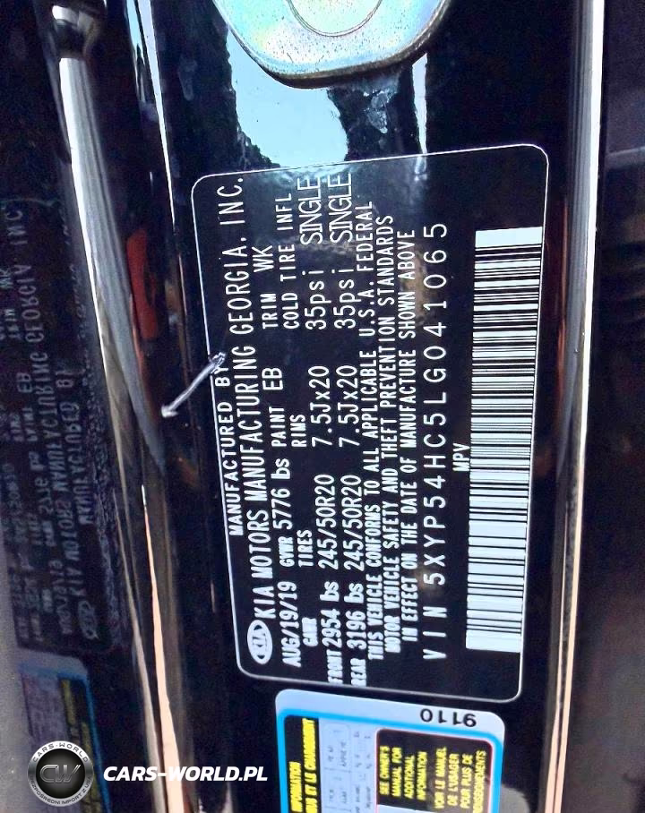 2020 Kia Telluride Sx VIN:5XYP54HC5LG041065 - 10