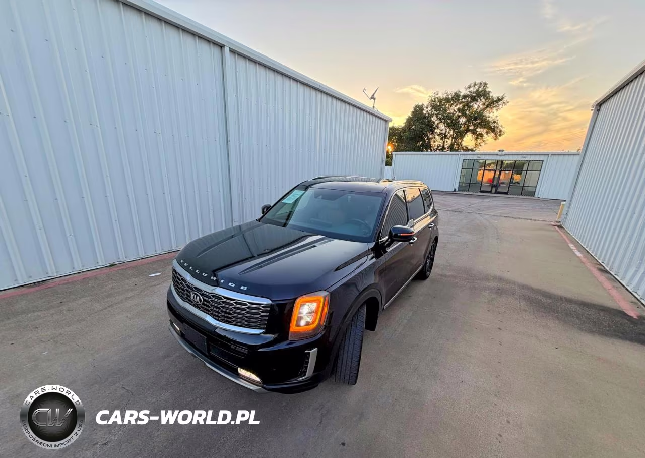 2020 Kia Telluride Sx VIN:5XYP54HC5LG041065 - 2