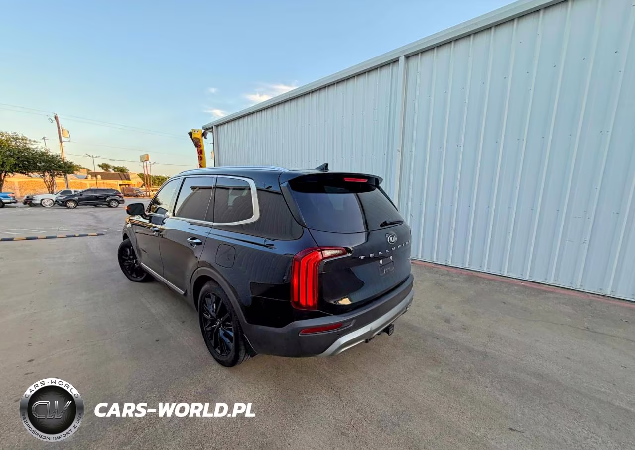 2020 Kia Telluride Sx VIN:5XYP54HC5LG041065 - 3