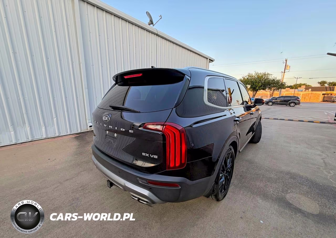 2020 Kia Telluride Sx VIN:5XYP54HC5LG041065 - 4
