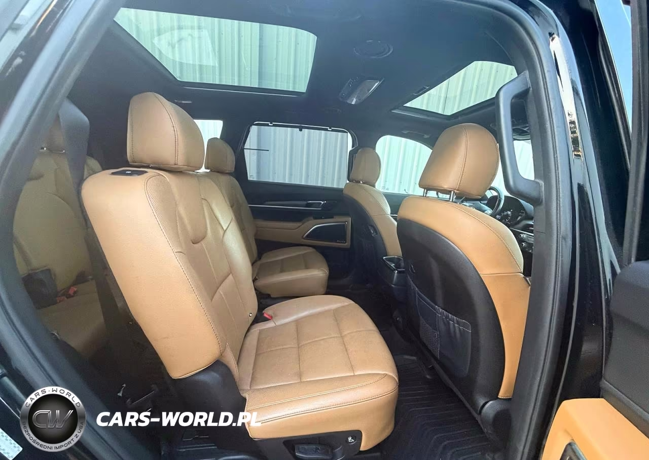 2020 Kia Telluride Sx VIN:5XYP54HC5LG041065 - 6