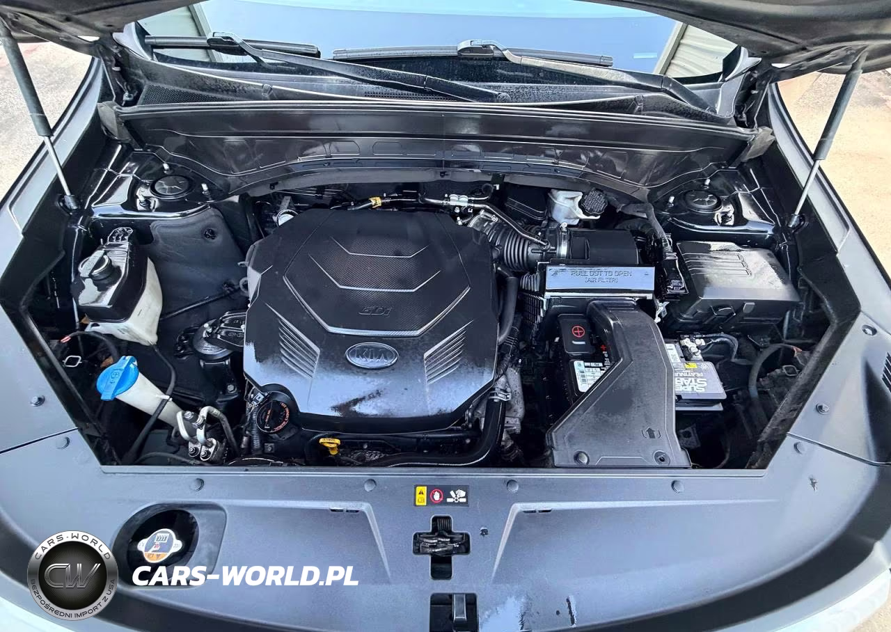2020 Kia Telluride Sx VIN:5XYP54HC5LG041065 - 7