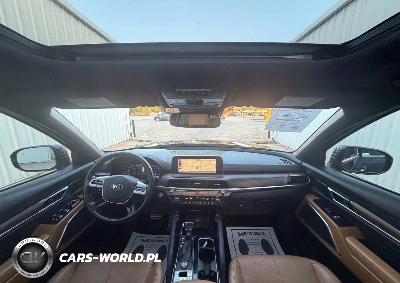 2020 Kia Telluride Sx VIN:5XYP54HC5LG041065 - 9