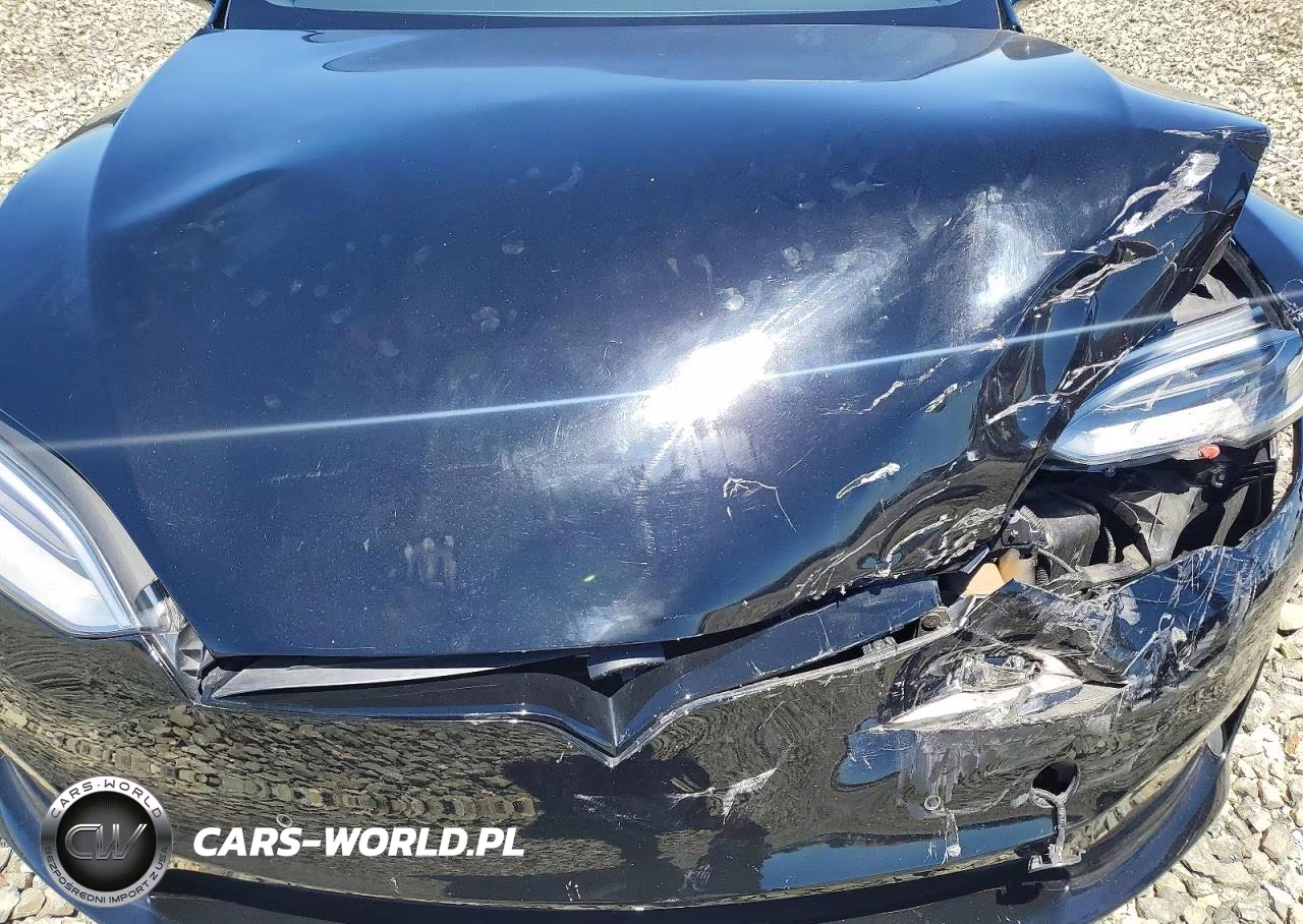 2021 Tesla Model S VIN:5YJSA1E56MF436343 - 11