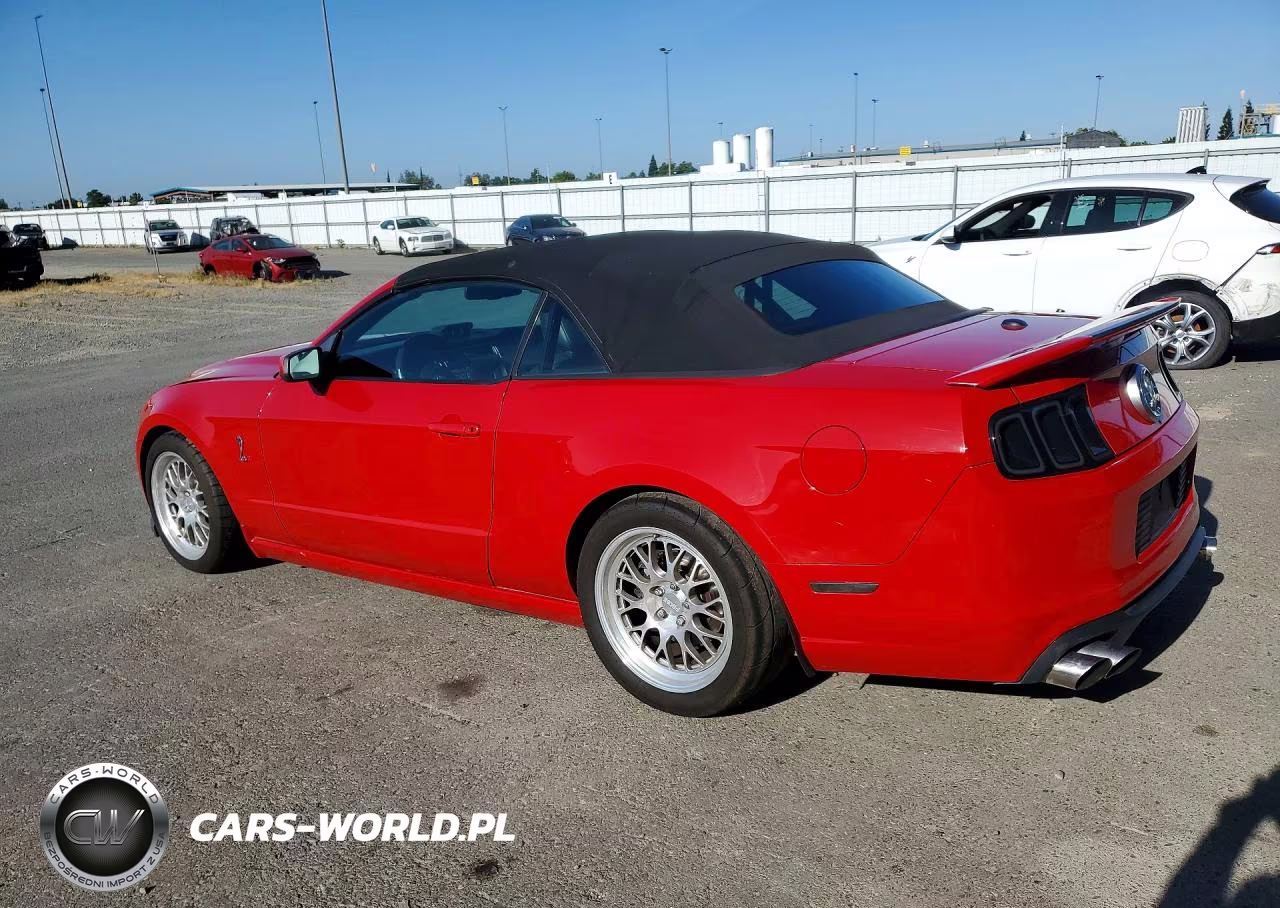 2010 Ford Mustang Shelby Gt500 VIN:1ZVBP8KS1A5163680 - 2