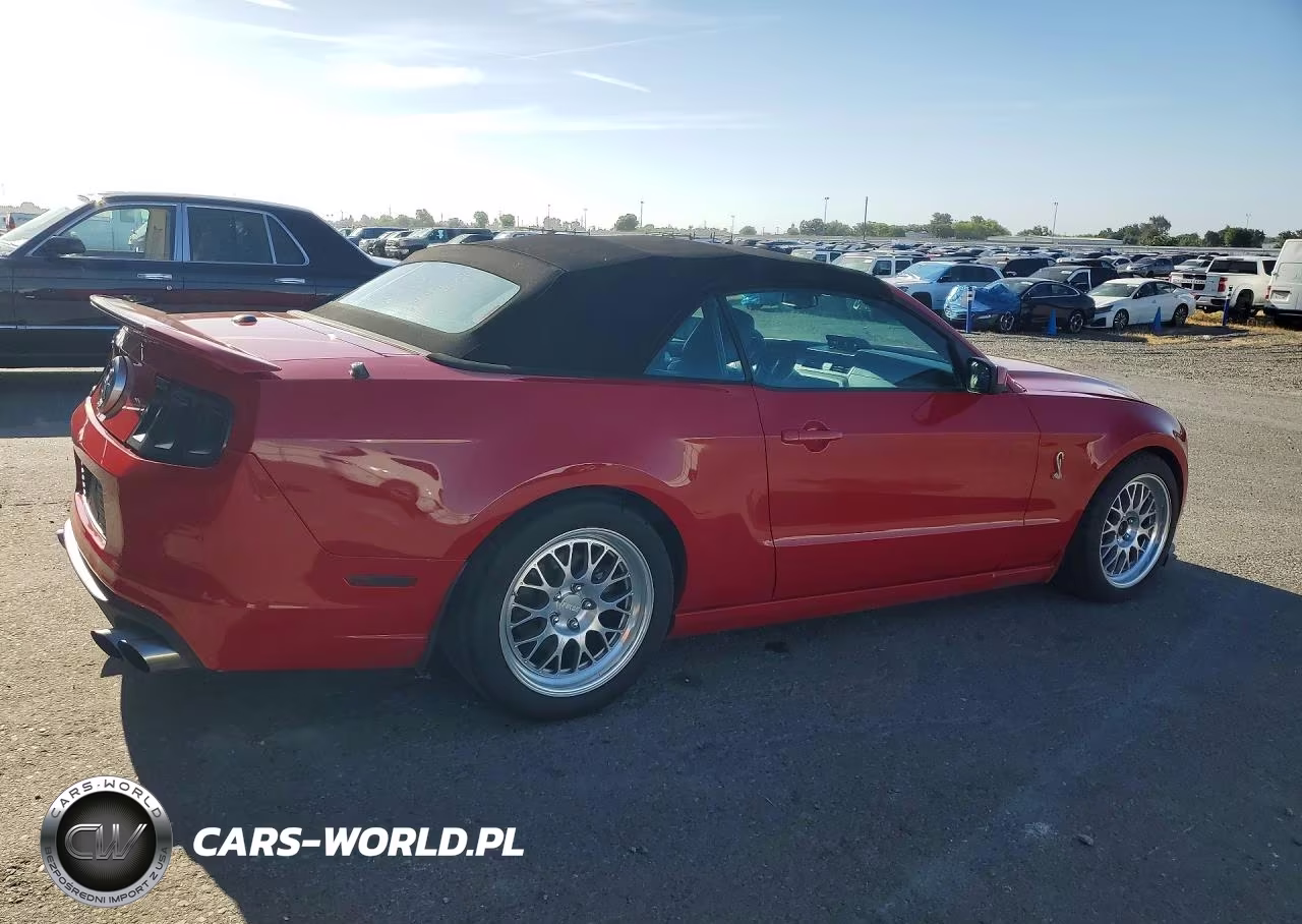 2010 Ford Mustang Shelby Gt500 VIN:1ZVBP8KS1A5163680 - 3