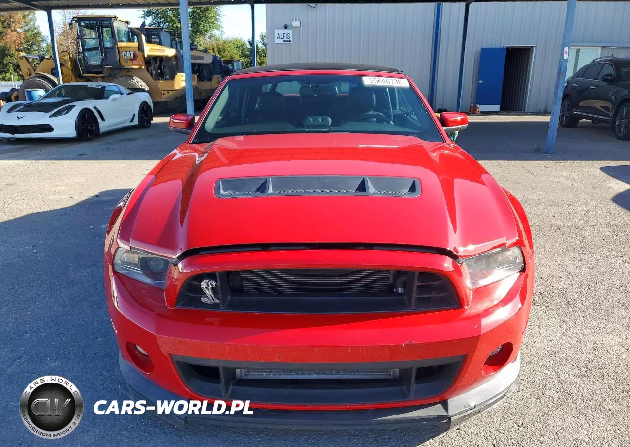 2010 Ford Mustang Shelby Gt500 VIN:1ZVBP8KS1A5163680 - 5