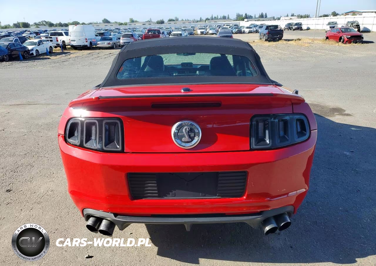 2010 Ford Mustang Shelby Gt500 VIN:1ZVBP8KS1A5163680 - 6