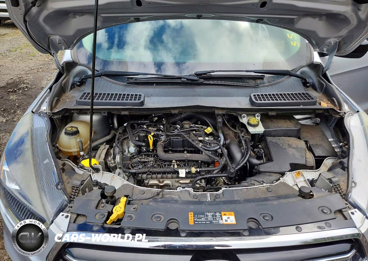 2019 Ford Escape Se VIN:1FMCU9GD3KUA07532 - 12