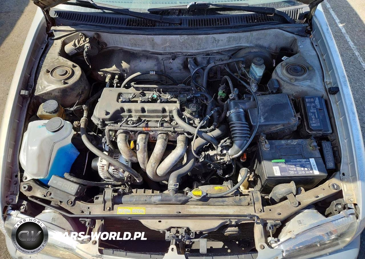 2000 Toyota Corolla Ve VIN:1NXBR12E7YZ356734 - 11