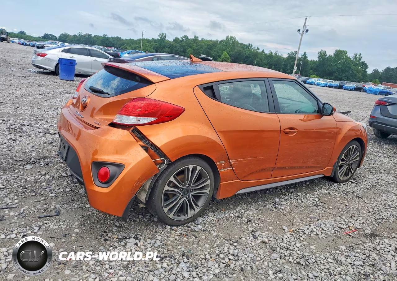 2016 Hyundai Veloster Turbo VIN:KMHTC6AE4GU249417 - 3