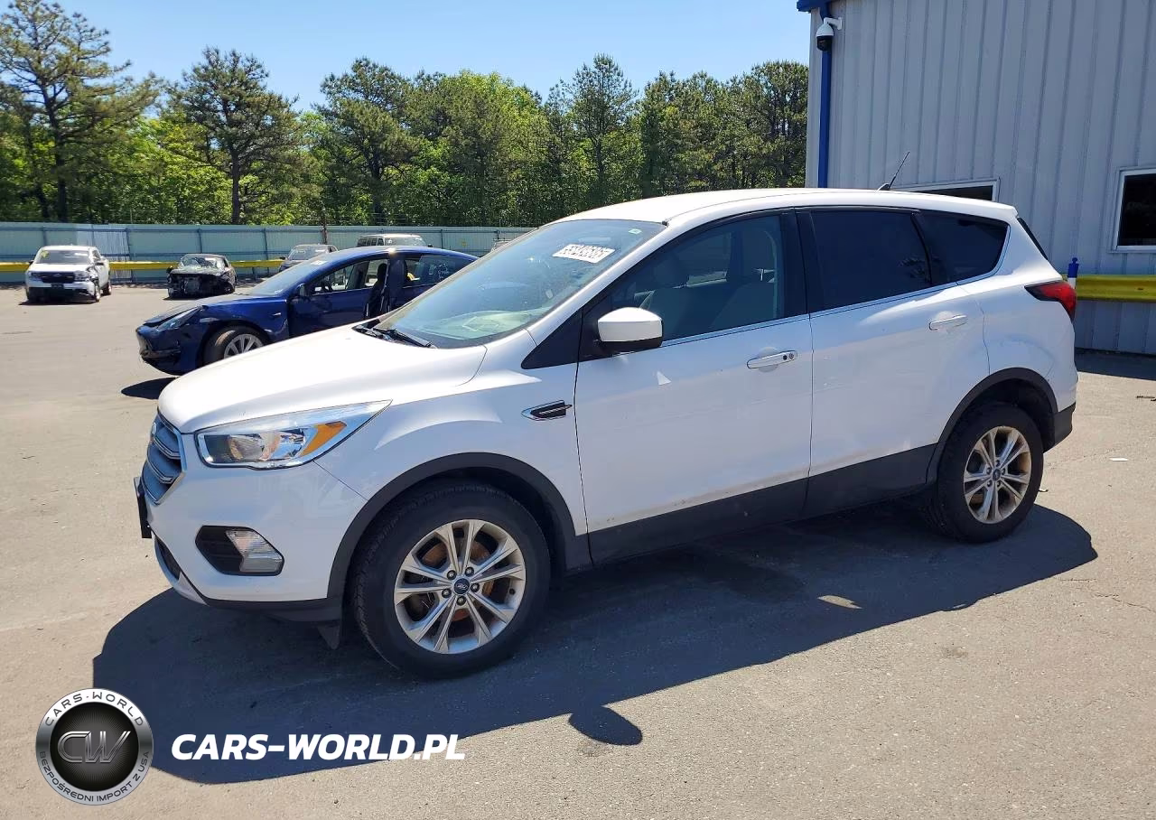 2019 Ford Escape Se