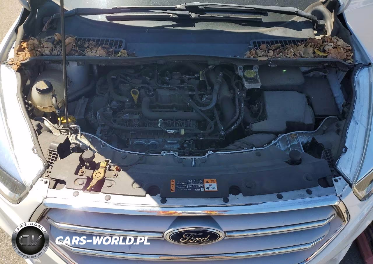 2019 Ford Escape Se VIN:1FMCU0GD9KUC34204 - 12