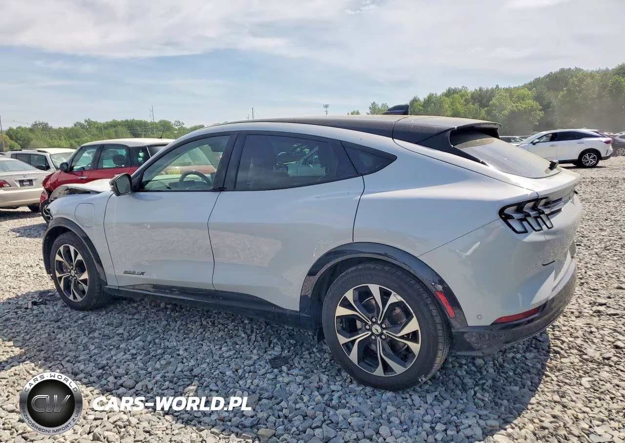 2023 Ford Mustang Mach-E Premium VIN:3FMTK3SU1PMA17210 - 2