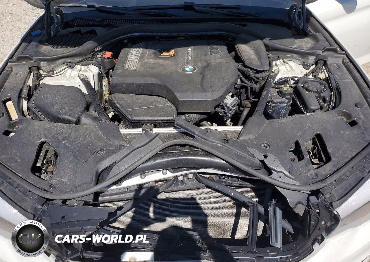 2017 BMW 530 Xi VIN:WBAJA7C35HG905169 - 11