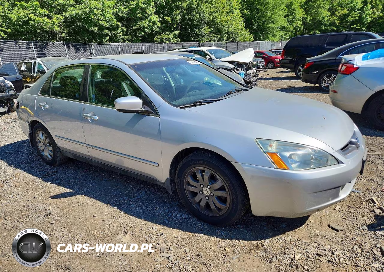 2004 Honda Accord Lx VIN:1HGCM55324A162702 - 4